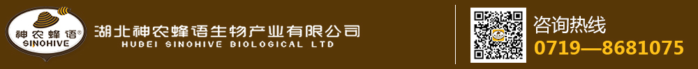 湖北黄冈百佳保安服务有限公司